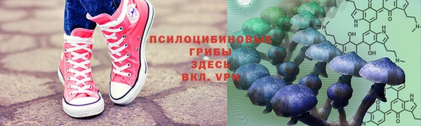 тгк Беломорск