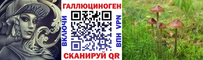 Псилоцибиновые грибы прущие грибы  купить наркотики сайты  Демидов 